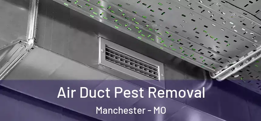  Air Duct Pest Removal Manchester - MO