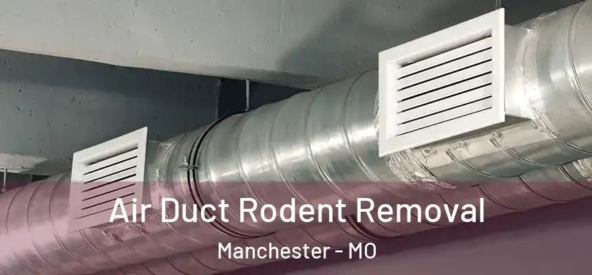  Air Duct Rodent Removal Manchester - MO