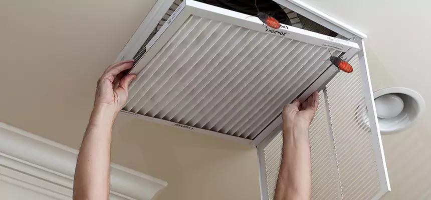 Preventive Cockroach-Proofing for Ducts in Manchester