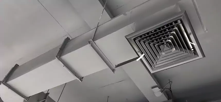 Our Pest Removal From Ducts Services in Manchester, MO