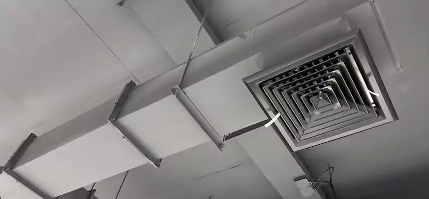 Our Rodent Droppings In Vents Services in Manchester, MO