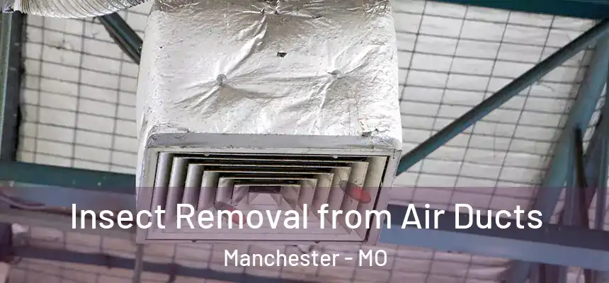  Insect Removal from Air Ducts Manchester - MO