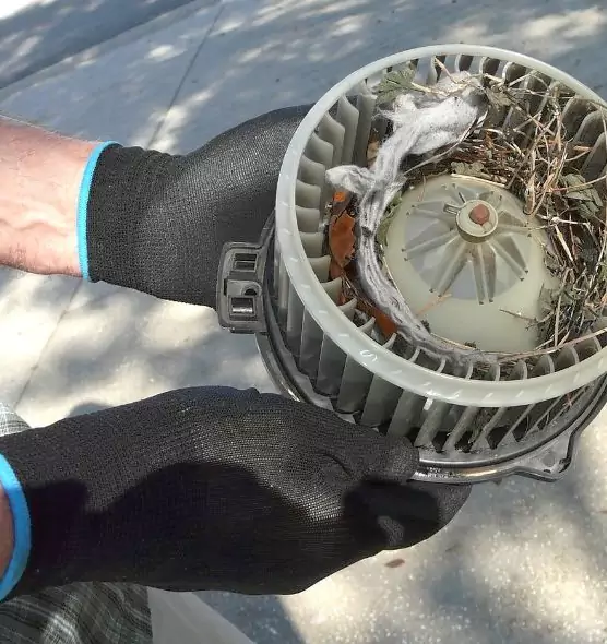 About Air Duct Rat Removal in Manchester, MO