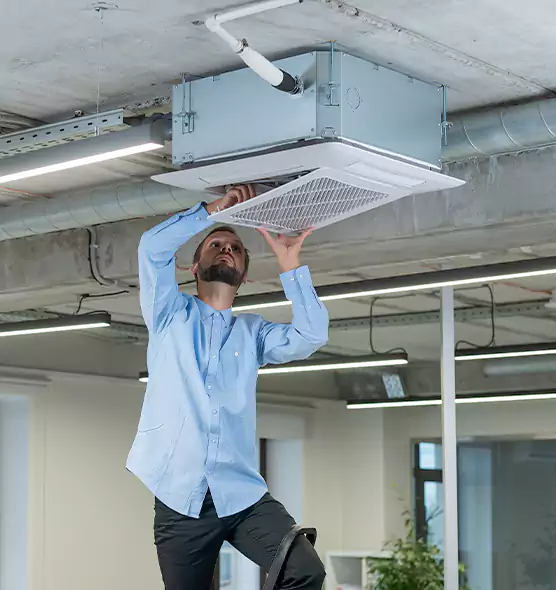 Advanced Rodent Droppings In Vents in Manchester, MO